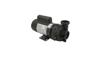 Balboa Dura-Jet Spa Pump | 1HP 2-Speed 48 Frame 115V | 4239110-S