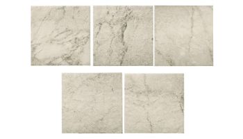 National Pool Tile Vagli 6x6 Series | Classic Calacatta | VAG-CLASSIC