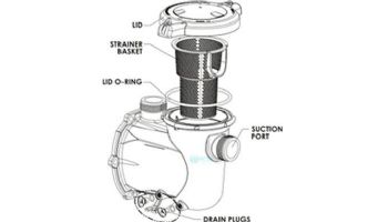 Pentair IntelliFlo3 3HP Strainer Pot Kit | Black | 356347Z