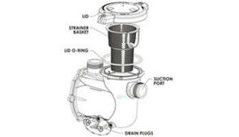 Pentair IntelliFlo3 1.5HP Strainer Pot Kit | Almond | 356174Z