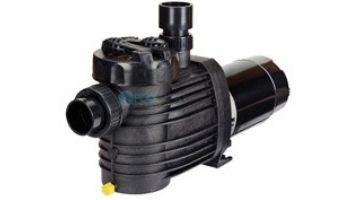 Speck Pumps S90-II E+ / Extreme E Single Speed Pump | 1HP 115/230V | IG124-1100M-000