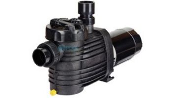 Speck Pumps S90-II E+ / Extreme E Single Speed Pump | 1HP 115/230V | IG124-1100M-000 loading=