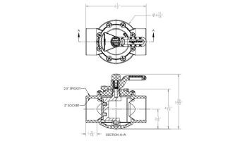 AquaStar FlowStar 2-Way Valve with Rubber Handle | 2" x 2.5" |  AV2W20C