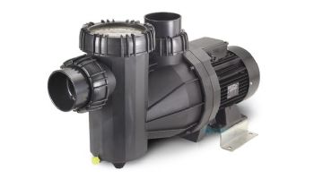 Speck Pumps 95-X Single Speed Pool Pump | 7.5 HP 3 Phase | IG273-1750F-000