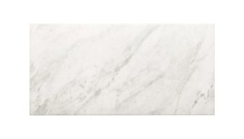 National Pool Tile FMU 12x24 Tile | Stratos Antracite | 1095161