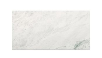 National Pool Tile FMU 12x24 Tile | Classica Alaska Glacier | 1101490