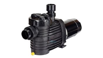 Speck Pumps S90-III High Performance Single Speed Pool Pump with Unions | 1.0HP 3 Phase 208-230/460V | IG123-1100F-000 loading=