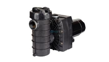 Speck Pumps 433 High Performance Single Speed Pool Pump with Unions | 2.0HP 3 Phase 208-230/460V | IG113-1200F-000 loading=