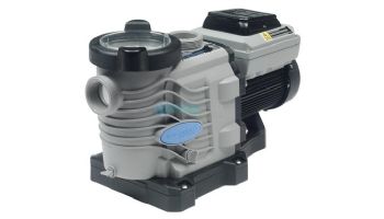 Blue Torrent Pro Series Variable Speed Pump | 3.0 HP 1.5" 2" Ports | BTIGV300