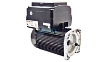 【non】P125 Replacement Variable Speed Threaded Motor | 3.45THP 230V 50/60Hz
