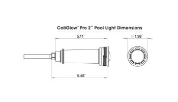 CaliMar® CaliGlow Pro P-Series Nicheless LED Color Changing Pool & Spa Light | 20W 12V 100' Cord | CMAR2L20W100P