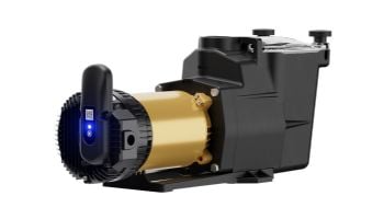 Hayward SuperPump VS 615 Variable Speed Pump with OmniX | 1.65HP 230-115V | W3VSP26615
