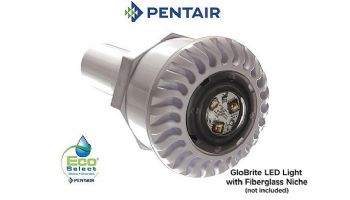 Pentair GloBrite Shallow Water Color LED Light | 12V 50' Cord | EC-907416