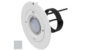AquaStar Lite Star 20-Degree Adjustable Angle White LED Pool and Spa Light with Retrofit Adapter Kit for Large Light Niches | White Face Plate | LS101-PN-WHITE