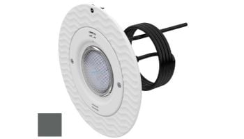 AquaStar Lite Star 20-Degree Adjustable Angle White LED Pool and Spa Light with Retrofit Adapter Kit for Large Light Niches | White Face Plate | LS101-PN-WHITE