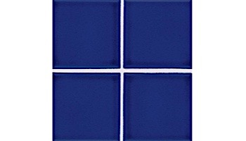National Pool Tile Discovery Series | Cobalt Blue/Rust | DS500