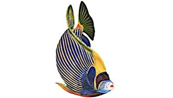 Porcelain Mosaic Reef Fish | Emporer Angelfish | PORC-EF5-8