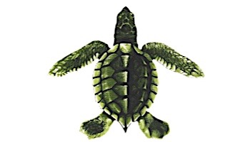 Porcelain Mosaic Turtle Green | Baby 5"x5" | PORC-ST20A