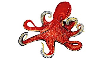 Porcelain Mosaic | Octopus | PORC-OP16-24
