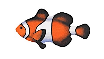 Porcelain Mosaic Reef Fish | Clown Fish | PORC-CF9-8