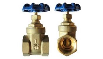 American Granby Gate Valve Brass | 2_quot; | GV200-200T loading=