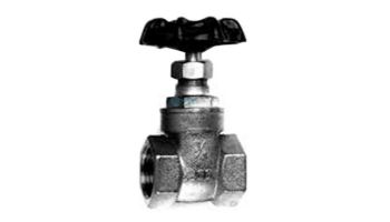 American Granby Gate Valve 2.5" Brass | GV200-250T