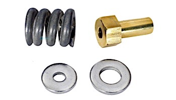 Pentair Spring Barrel Nut Assembly | 53108900 53108900Z