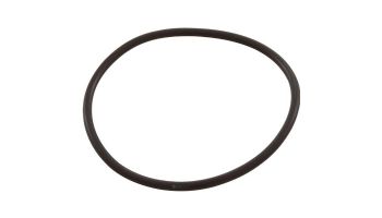 Pentair American Products Backwash Valve Replacement Parts | Bulkhead O-Ring | 51013500