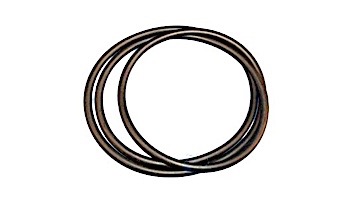 Pentair 18" O-Ring For Filters Prior To 11/94 | 53002800