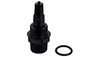 Pentair Complete Drain Assembly | 55007800
