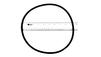 Pentair Tank Body O-Ring for Clean and Clear Predator Warrior Filters | 87300400 87300400Z