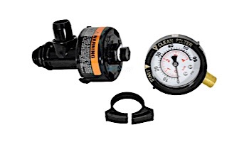 Pentair High Flow Air Relief Assembly | Twist Type | Includes Pressure Gauge | 98209800