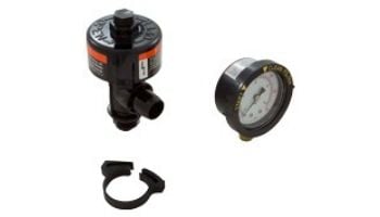 Pentair High Flow Air Relief Assembly | 98209800
