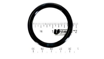 Pentair Sta-Rite Slide Valve Replacement Parts | Drain Plug O-Ring | 51005000