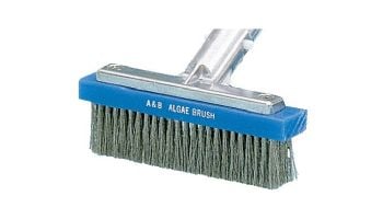 A&B Brush Straight Algae Brush | 6.25" | Stainless Steel Bristles | 5000