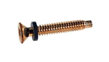 Pentair Brass Pilot Screw with Captive Gum Washer | 79104800 79104800Z