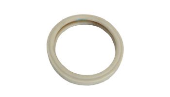 Pentair Gasket For 4" Diameter Lens | 79108500 79108500Z