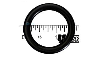 Pentair Bulb Assembly O-Ring for AquaLuminator | 79116900
