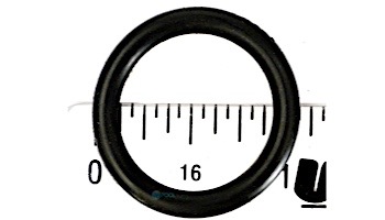 Hayward Knob O-Ring for Star Clear Plus Filter | CX900H