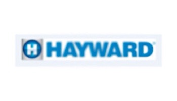 Hayward Washer With Large Hole | DEX2400J3