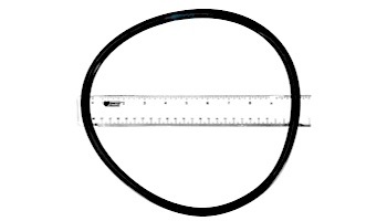Hayward Filter Head O-Ring for Star Clear II | CX800F