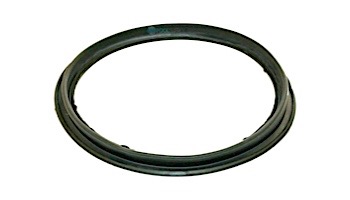 Hayward Diaphragm Gasket for Perflex DE Filters | ECX1105