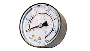 Hayward Back Mount Pressure Gauge | ECX27091