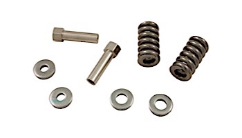 Hayward Clamp Spring Assembly Replacement Kit | DEX360JKIT