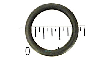 Hayward O-Ring F/Air Relief Valve Assembly | SX200Z5