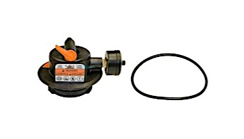 Hayward Manual Air Relief Assembly | DEX2420MAR2