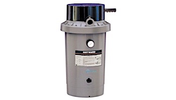 Hayward D.E. Perflex Extended Cycle Pool Filter | 27 sq. ft. | 67 GPM | W3EC65A