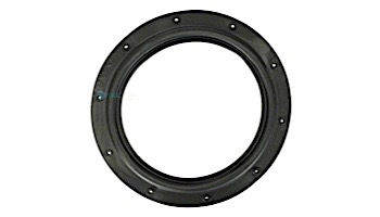 Hayward Diaphragm Gasket | ECX1039