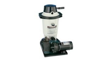 Hayward Perflex System DE 1.5HP with Hose Kit | 25SQFT | W3EC50C93S