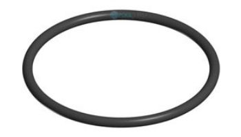 Hayward Diffuser O-Ring | SPX4000Z1 loading=